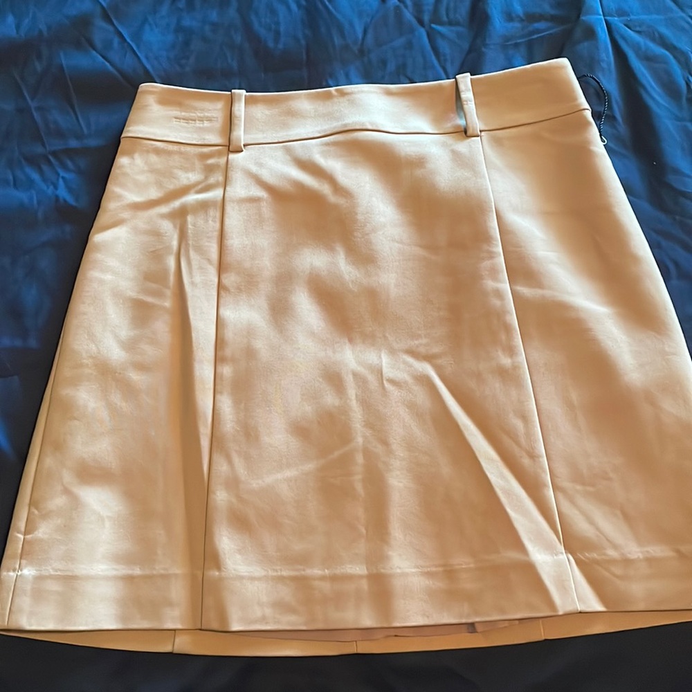 Express pencil skirt